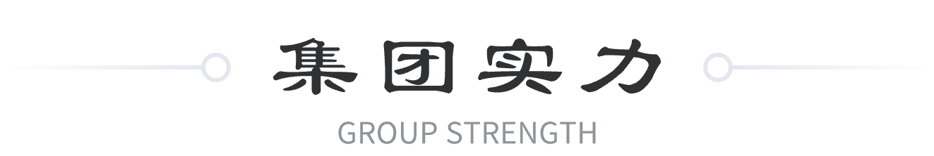 集團(tuán)實(shí)力